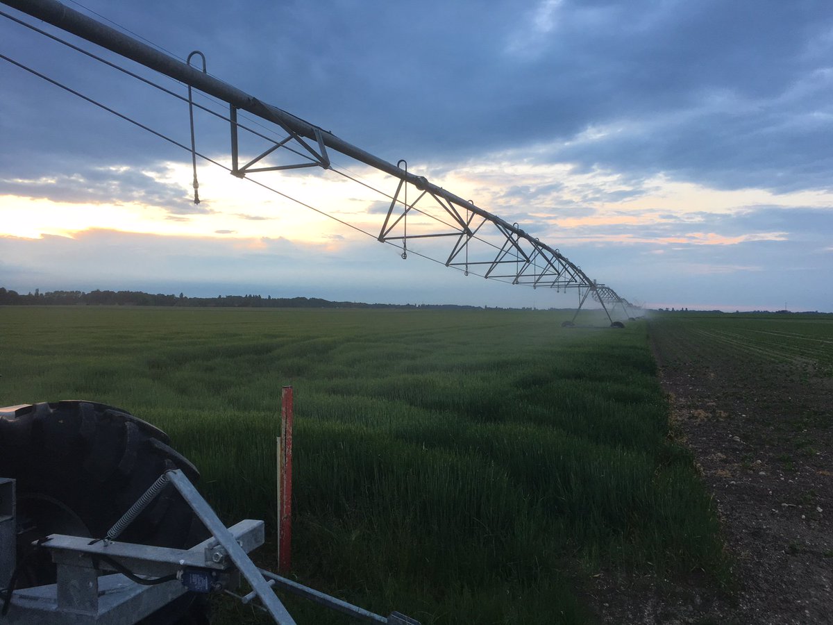 FlorezLaurent's tweet photo. Dรฉmarrage d'une irrigation raisonnรฉe grace ร l'outil #netirrig dans l'orge de printemps ; @GdaVarennes https://t.co/7UDTyXrpNJ