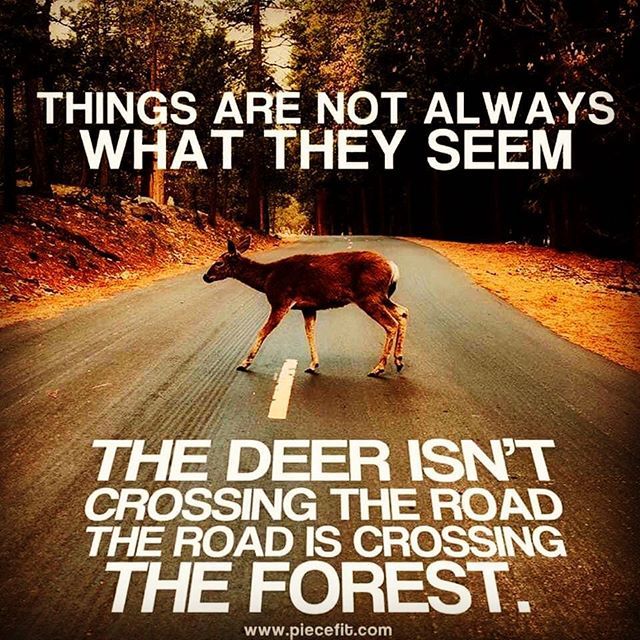 MonikahOgando's tweet image. A key skill for top leaders is the willingness (not just the ability) to consider different perspectives and how their decisions impact others.
#innerceo 
#leadershipdevelopment #ceomastery bit.ly/2KNOPX9