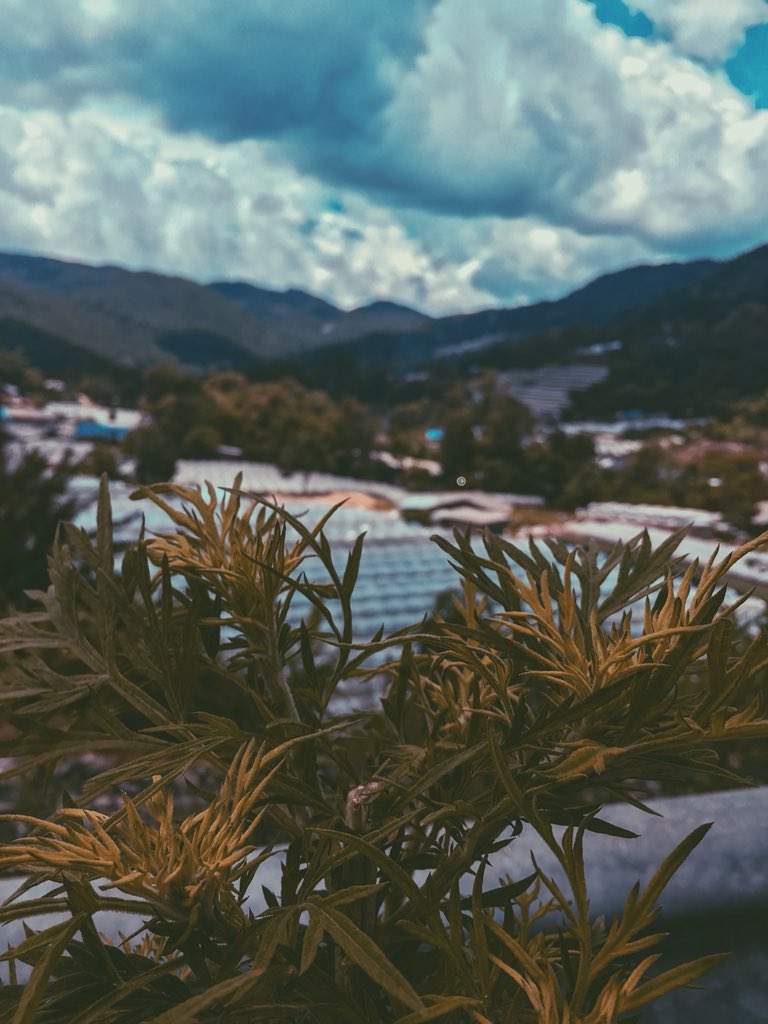 gabgmrno's tweet photo. Loving the view ❤️
IG : @ggyelo
#nature #bluesky #blueskys #photography #art #naturelovers #naturephotography #blue #afterlight #afterlightforios #afterlightapp #season #vsco #vscocam #vscofilter #vscoph #vscopinas #vscophoto #awesome #view #views #viewgoals #inspiration https://t.co/hZOajp2Mj7