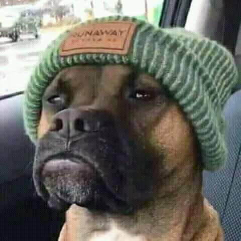 ice_july29's tweet photo. U Nandi unihluthele I hop yamakhekhe? 🤔🤔 https://t.co/VNBf4Aobrp