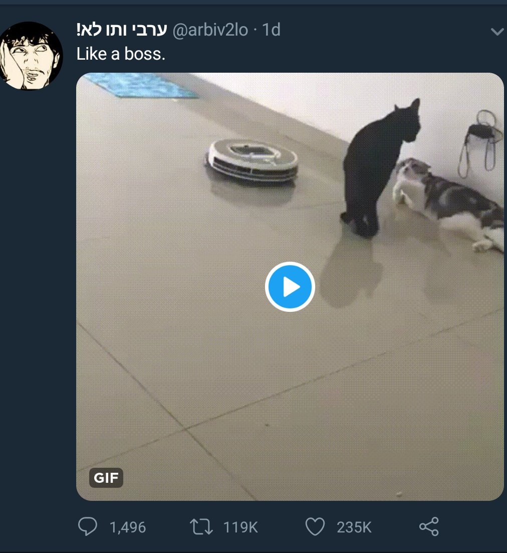 ערבי ותו לא! tweet media