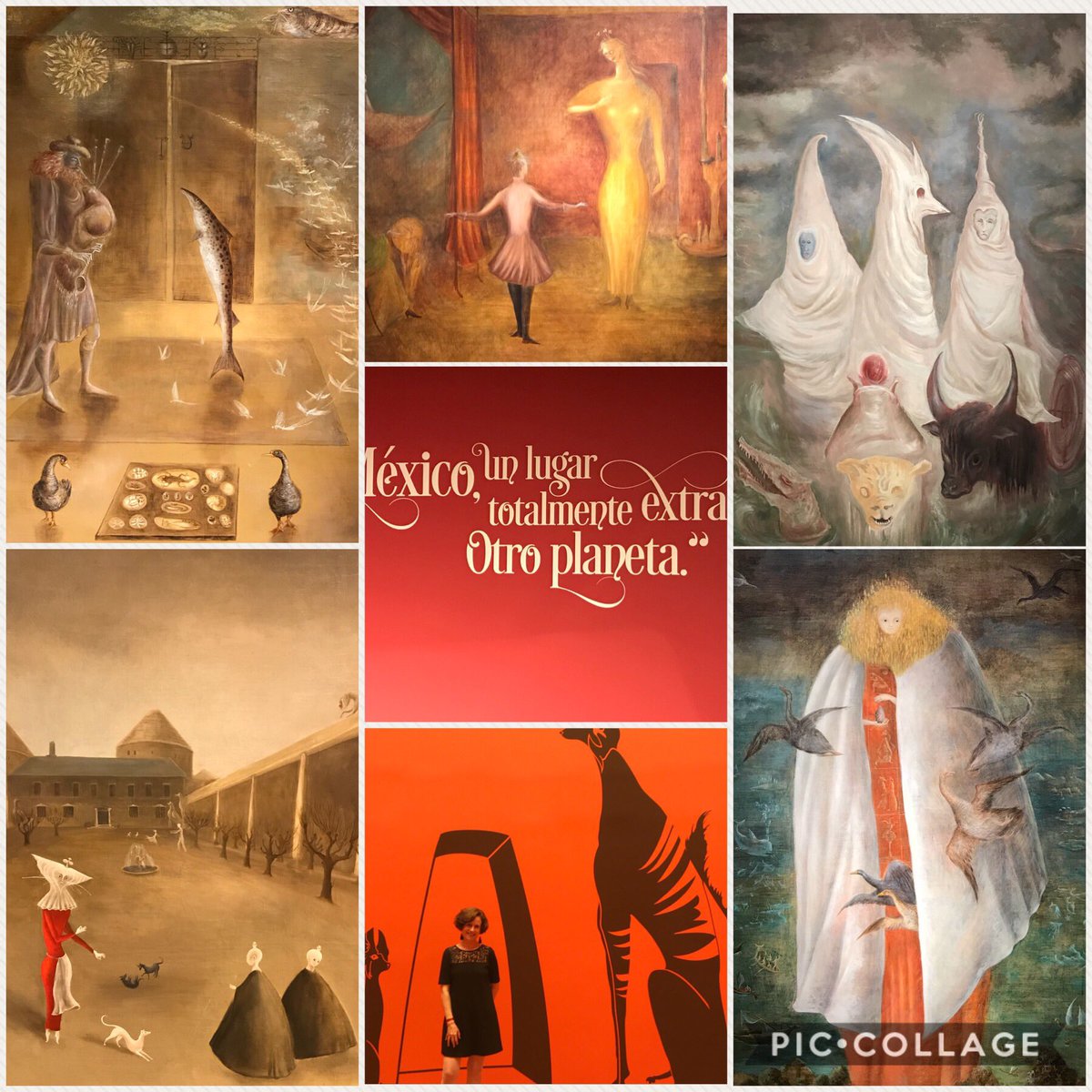 Compartiendo belleza y surrealismo y mujeres mágicas. Aquí en la exposición de Leonora Carrington en el <a href="/museoAmodernoMX/">Museo de Arte Moderno</a>