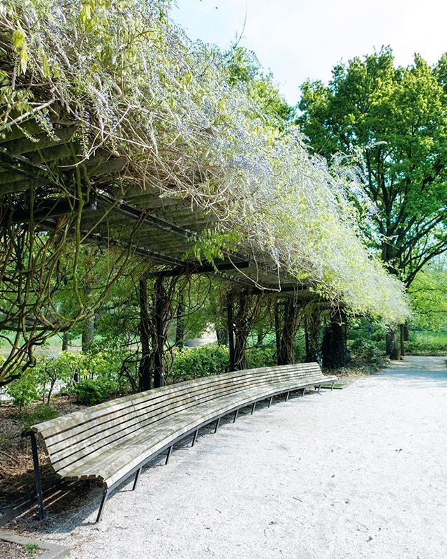 🌺🍃Have a seat🍃🌺 ift.tt/2GH5XLB