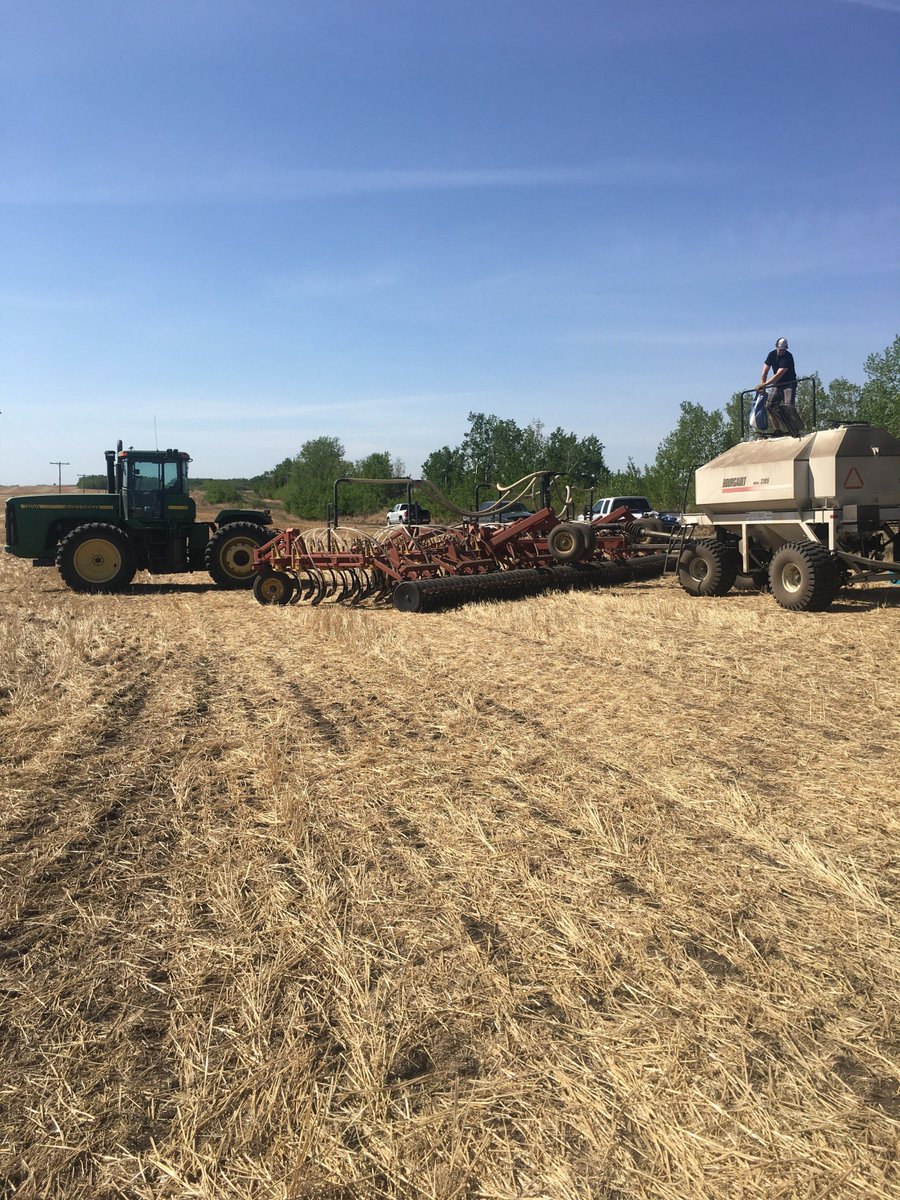 BrettYoungSeeds's tweet photo. What were you up to on the long weekend? We were excited to get our canola comparison trial into the ground near Hafford, SK. #Plant18 #6090RR #6074RR #4187RR https://t.co/fqElALzr97