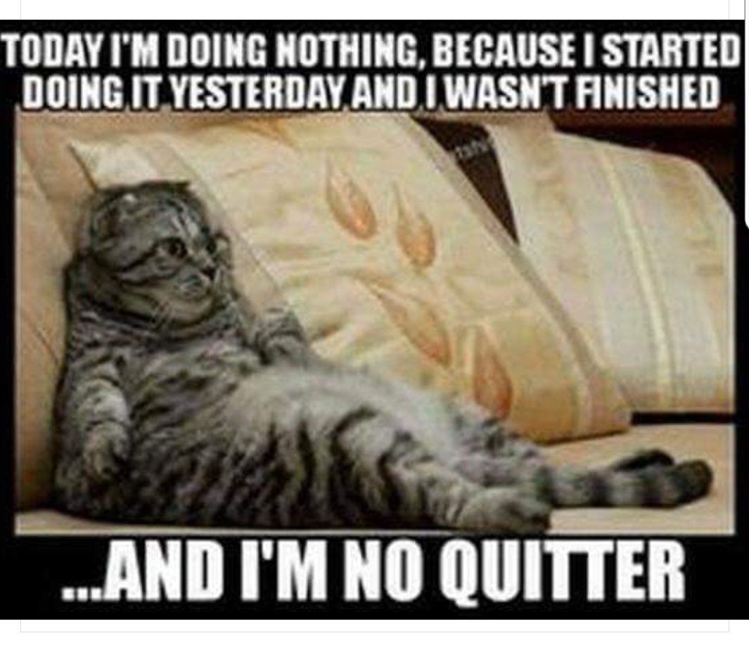 Michaeldc3Cole's tweet photo. Me everyday ! 😂😂 https://t.co/I8VrCpgOQy