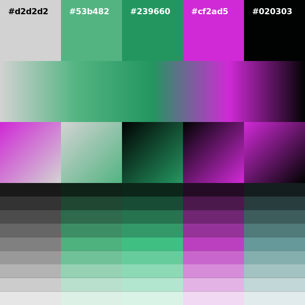 palett_es's tweet photo. #d2d2d2 #53b482 #239660 #cf2ad5 #020303 #generative #design #colors #colorScheme #palette Download it from: https://t.co/ABchSDMlMq https://t.co/CKV8UZluAW