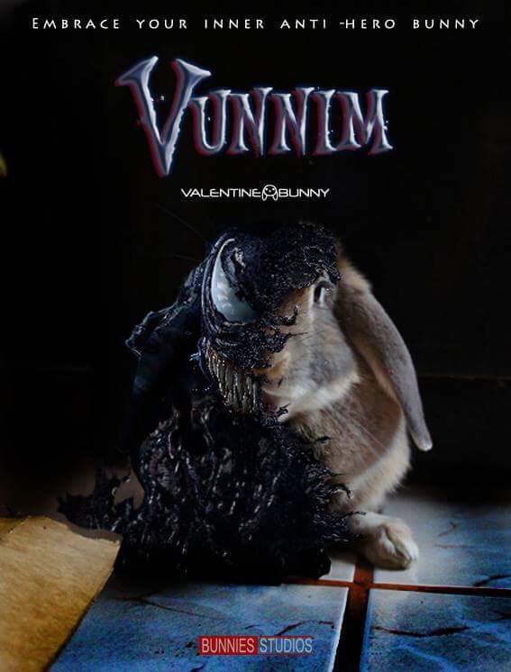ValeTheBunny's tweet image. #ValentineTheBunny + #Venos = Vunnim 😱😱😱 #WeAreVunnim