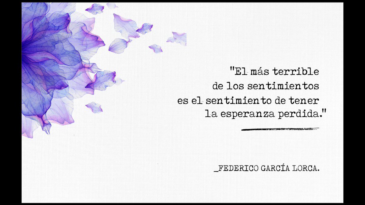 BeatrizGMuller tweet picture