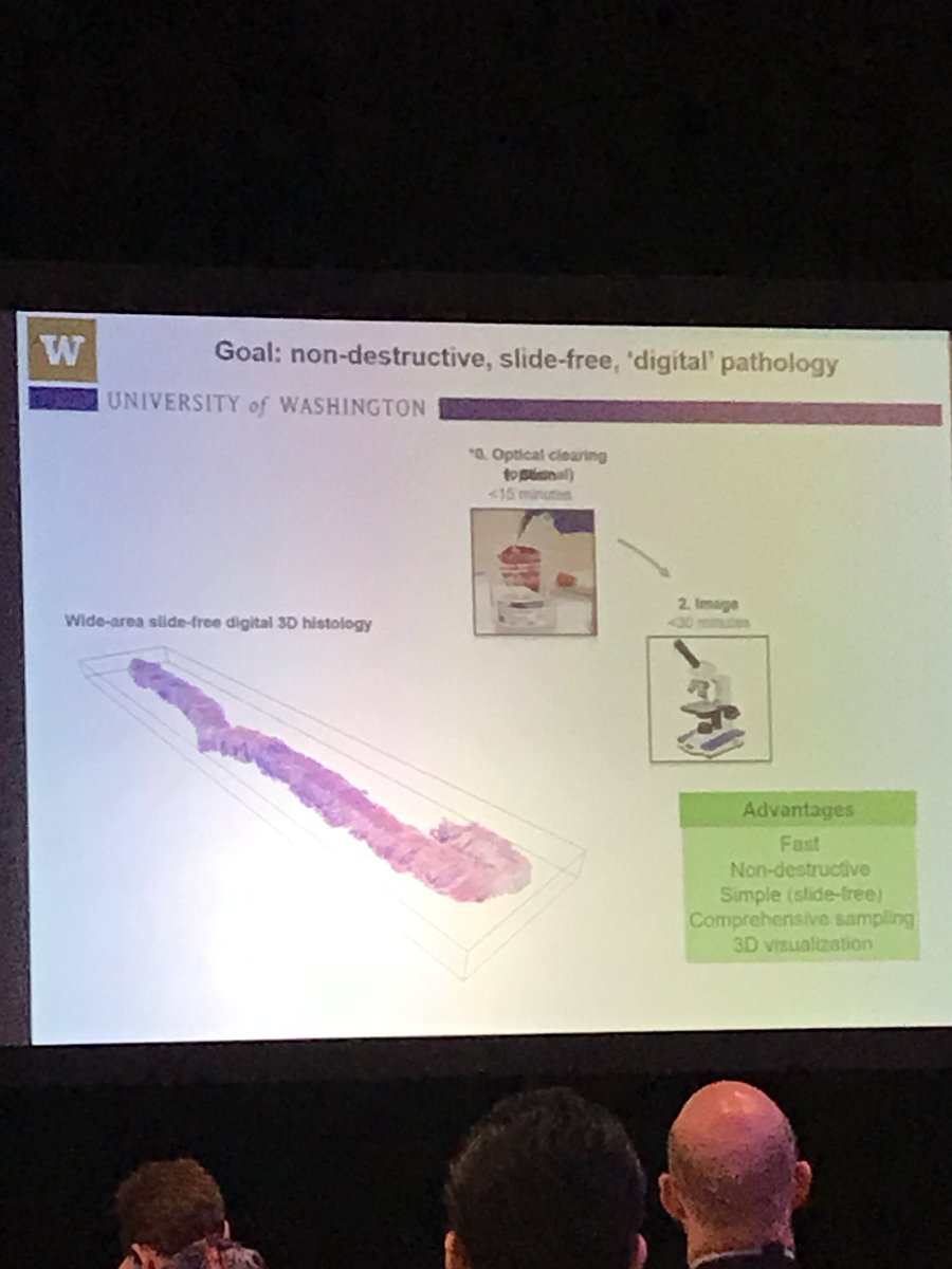 feldmanm30's tweet photo. Johnathan Liu light sheet SlideLess microscopy #PathInfo2018 @Digi_Pathology v2.0 https://t.co/6Mi8ni49Hw