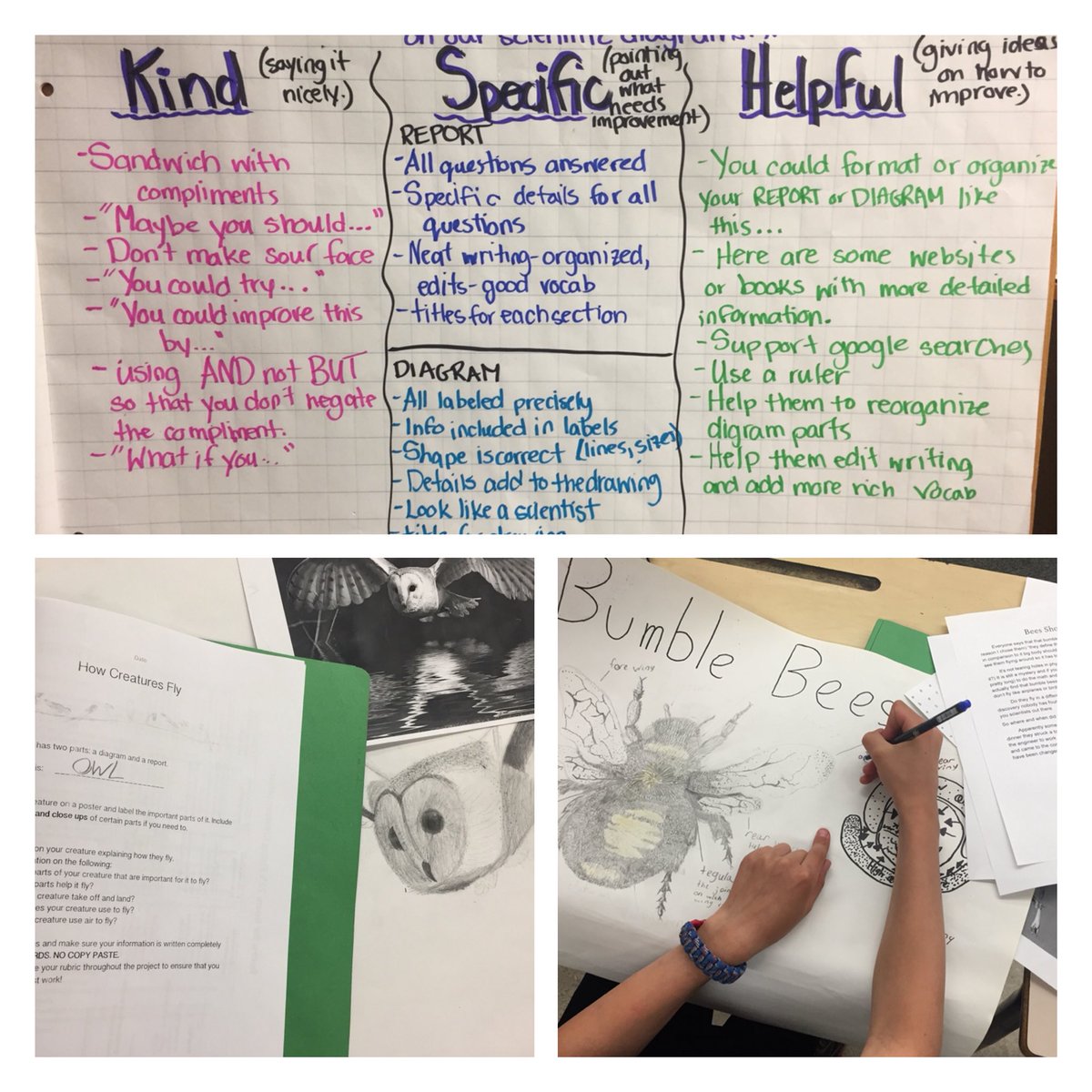 MsVilladsen's tweet photo. Student work improves significantly when they receive good quality feedback. Even more so when they learn how to give that feedback to each other! #feedback #studentsuccess #abedchat @dylanwiliam https://t.co/EewX2OVxLw