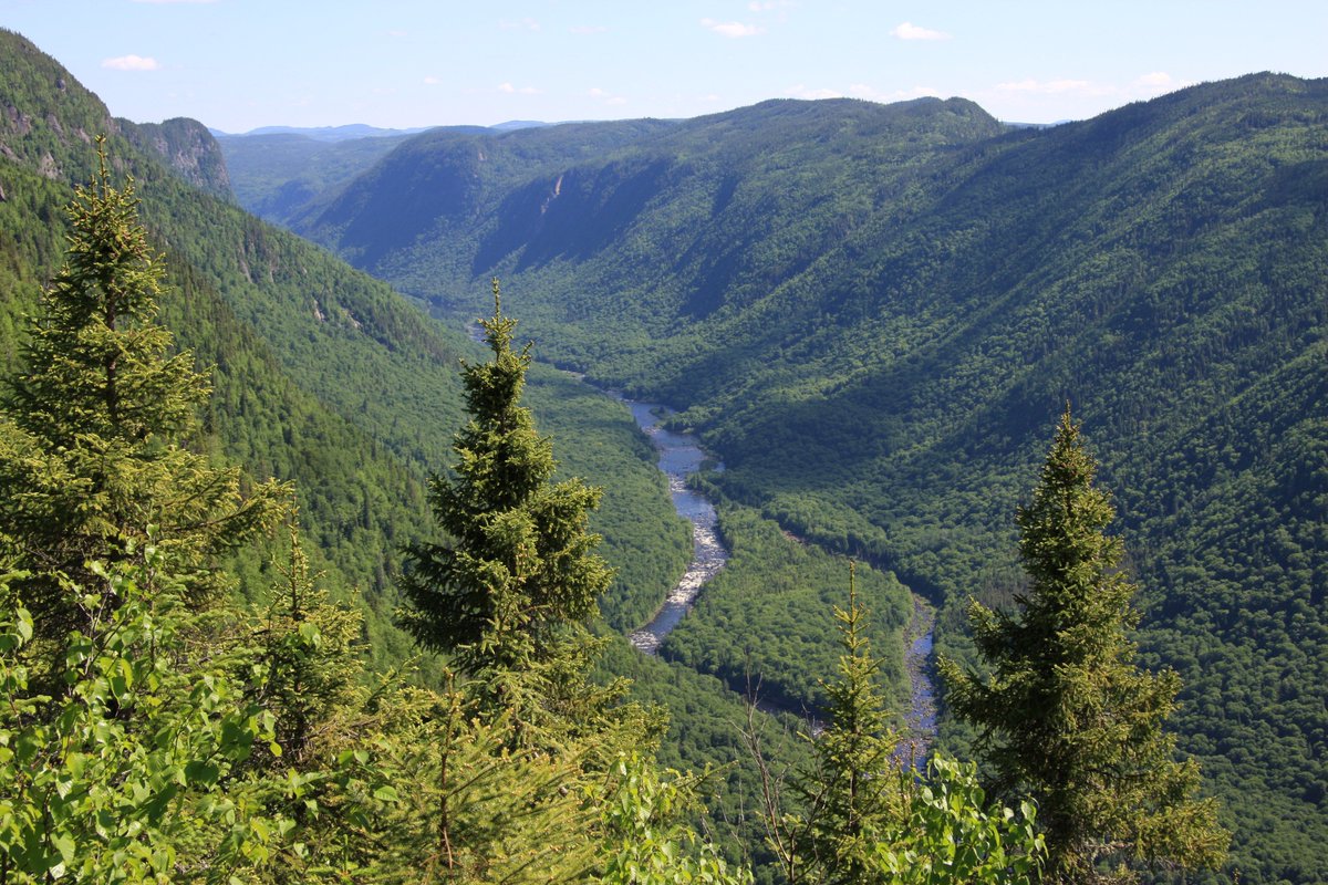 #DYK that the world’s largest remaining intact forests are in Canada? Let’s do our part to keep them protected! #BiodiversityDay