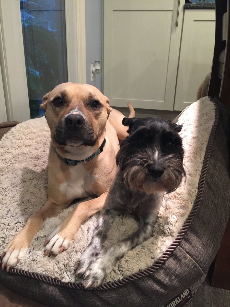 kmeaton6540's tweet photo. We don’t like this thunder! #themooks https://t.co/2D3Dc5960f