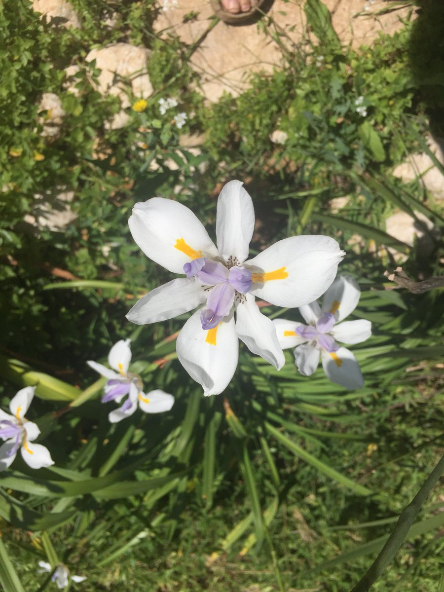 Nerdavid On Twitter Sometimes Need To Stop And Appreciate The