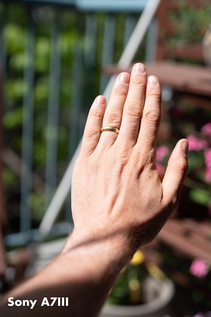 Tyler Stalman on Twitter "When I import raw A7III photos into