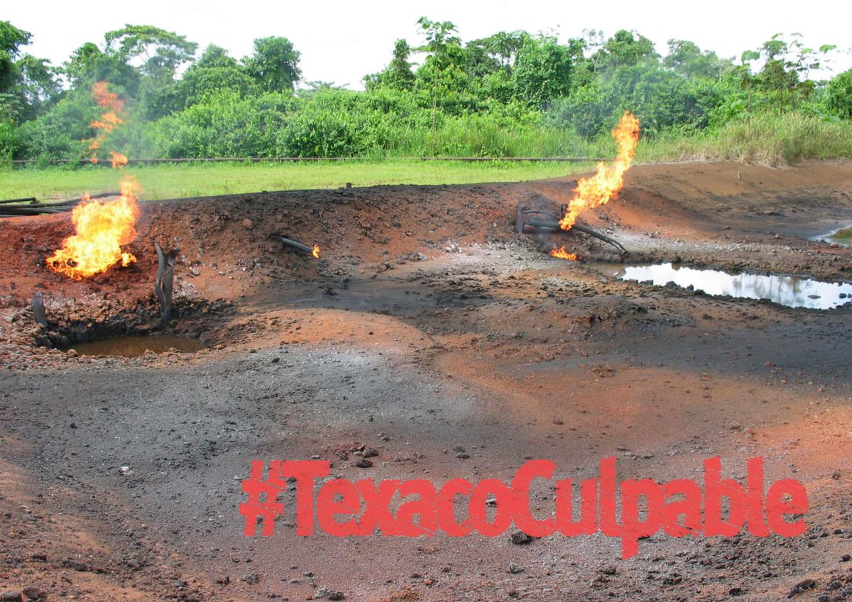 AcEcologica's tweet photo. Chevron contaminó más de 480 mil hectáreas de Selva Amazónica en el Ecuador. @CorteConstEcu#TexacoCulpable https://t.co/76CICEaGVv