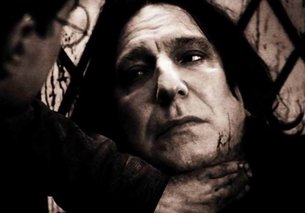 Harry Potter™▕⃝⃤ ⚯ ͛ tweet media