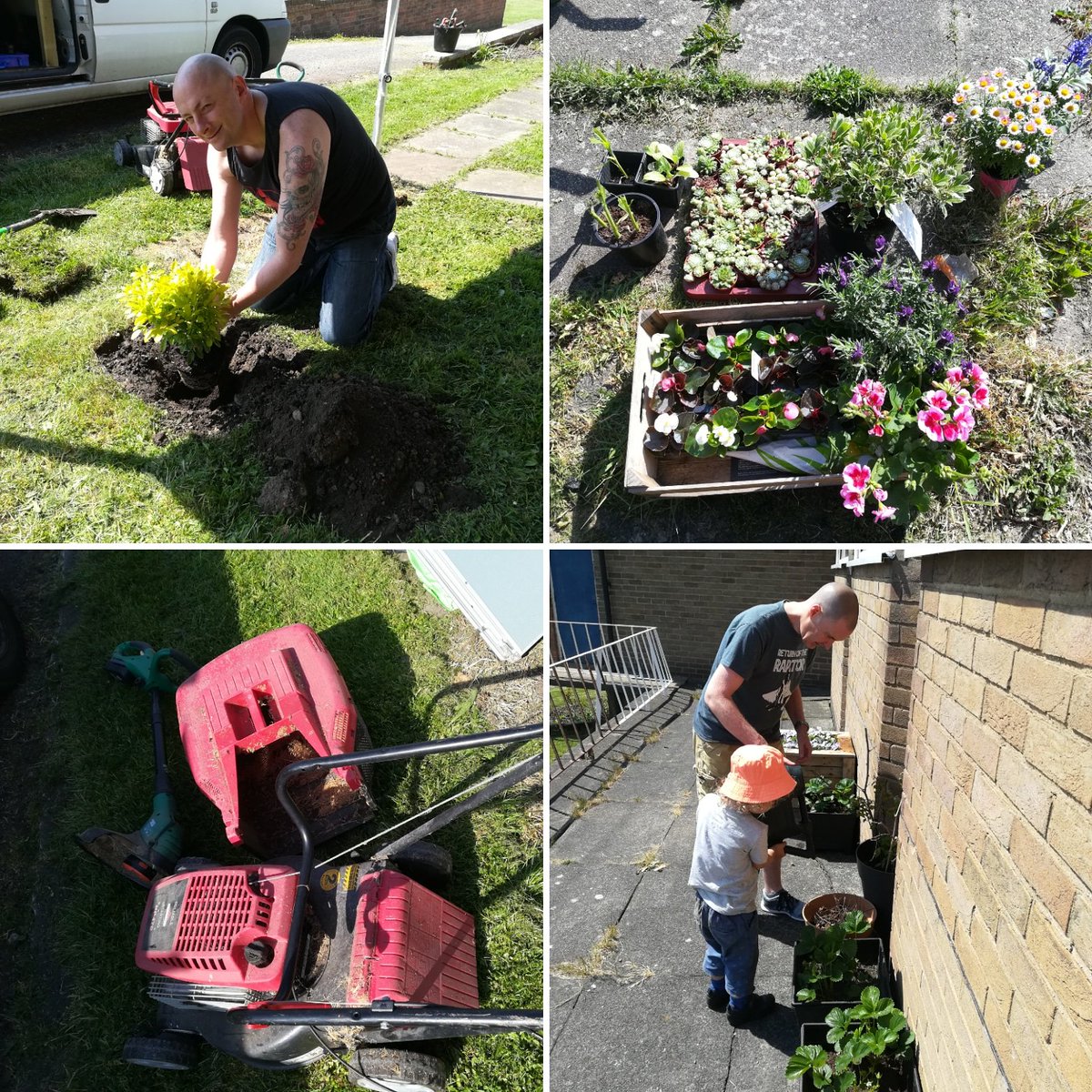 grow_outside's tweet photo. The garden at Gresley is starting to look great. Lovely plants and veg going in (despite Simon chewing the sweetcorn), and a generous donation of mower and strimmer from Mel; thank you! #growoutside #gresleyoldhall #communitygarden #simonthecat #socent #doitlikethisdad  #planting https://t.co/CXCGtA3zqg