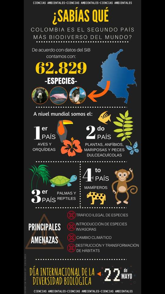 UDCArelint's tweet photo. #UDCAInternacional #Celebración #DíaDeLaBiodiversidad Día Internacional de la Diversidad Biológica 🌳 22 de mayo 🌳 https://t.co/w3ZmipqJaS