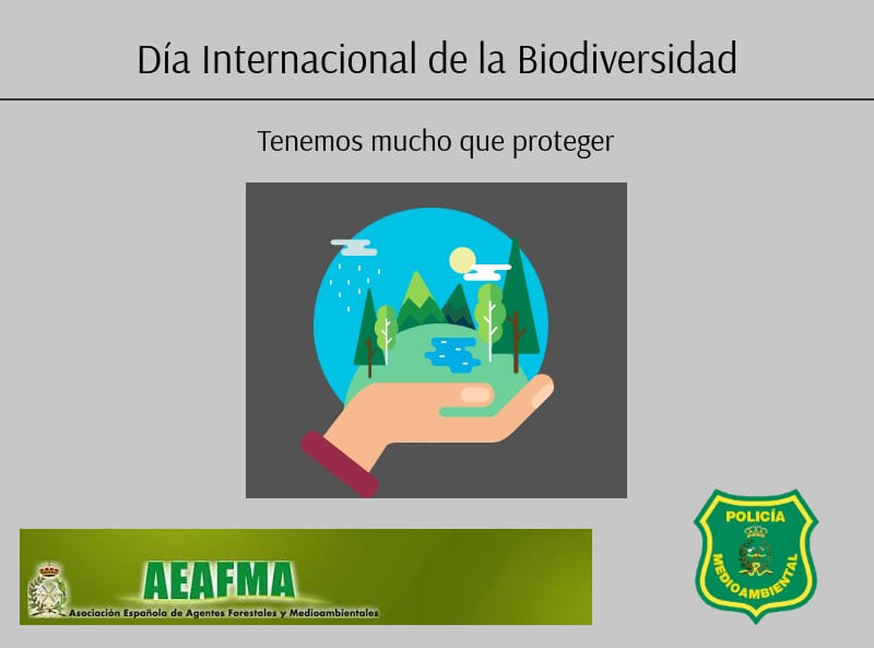 Hoy es el #DiaMundialBiodiversidad
#DíaInternacionalBiodiversidad 
Hoy y todos los días tenemos mucho que proteger 🌲🐢🕷🦃🐆🐺🐭🐗🐻🐾🐀🐇🐐🐣🐦🐍🐠🐬🐸🌻🌳🦂🐌🐞🌾🌴
Sin ellos, nuestro planeta 🌍 no tiene futuro. Cuidarles es cosa de todos.
#IntlBiodiversityDay #BiodiversityDay