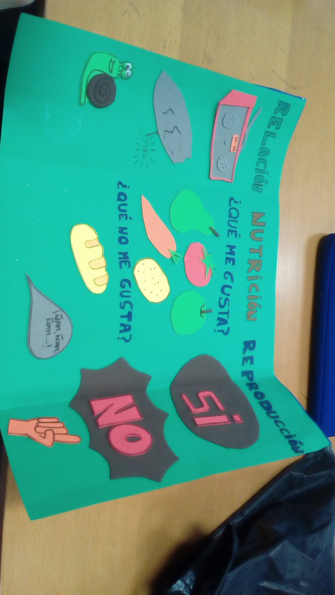 albafer46's tweet photo. Trabajando los seres vivos  en Educación Infantil. En este caso tenemos caracoles en el aula.  #infubu18 #infantil https://t.co/hbxQAzCKYR