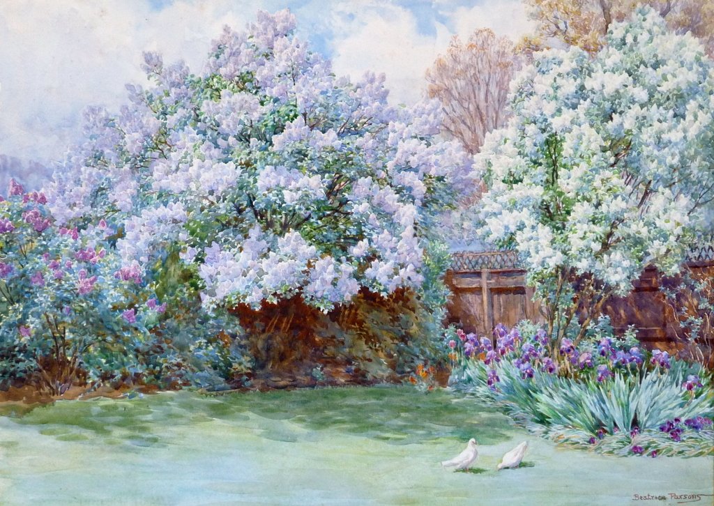 Beatrice Emma Parsons (1870-1955), Lilacs, The Laurels, Oxhey #watercolour
#BeatriceParsons #garden