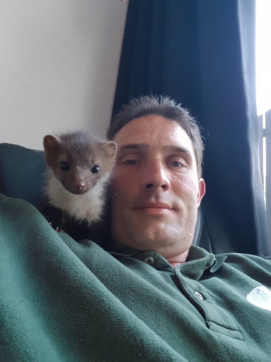 Omdat niet alles dood hoeft. Soms moet je ook een leven redden. Vooral als je het echte verhaal achter een dier kent.