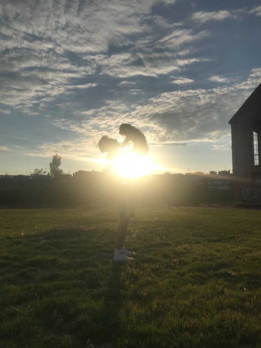 kikesjr's tweet photo. Atardecer en parque de las norias @tiempo_rtvcyl https://t.co/DbwQpZsVQq