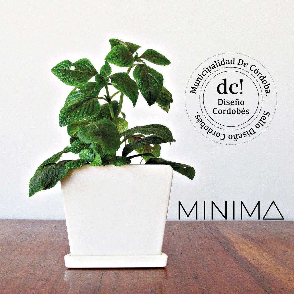 EstudioSimple's tweet photo. Nuestra línea de macetas #MINIMA recibió la Certificación #SelloDiseñoCordobés 2018. Las #SimpleEstudio estamos felices por el nuevo reconocimiento! Aguante el #diseñocordobés #conocéMINIMA #conocéSIMPLE
@CulturaMuni @MuniCba https://t.co/ICB3MsQNjp