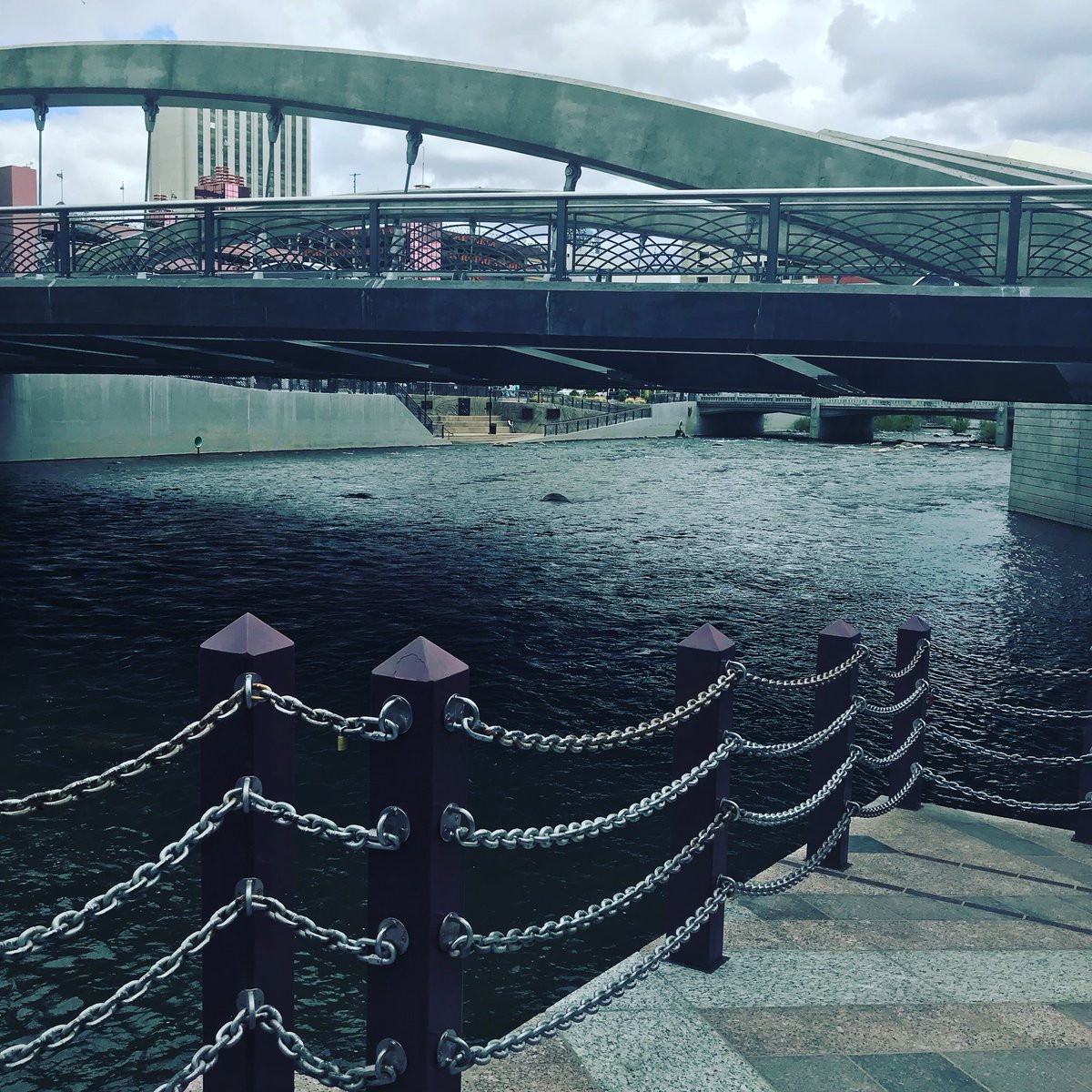 KevinBrunson's tweet photo. #RunStreak day 3882, #TuesdayLongRun 11.13 miles.ππ»#RunEveryDay #BQ02242018 #Boston2019 #MarathonTraining #RunningForMentalHealth #RenoNevada
#RunningForFun #EclipseRunning
#RoadRunning #IdewildPark #LoveToRun #TruckeeRiver https://t.co/fii16hmKMd