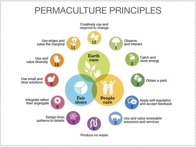 arobertsltd's tweet photo. #Permaculture , a term I only came across today but with the #culturalshift could be one we hear a lot more of  #alwayslearning 🌍 https://t.co/KkQltRfEwJ