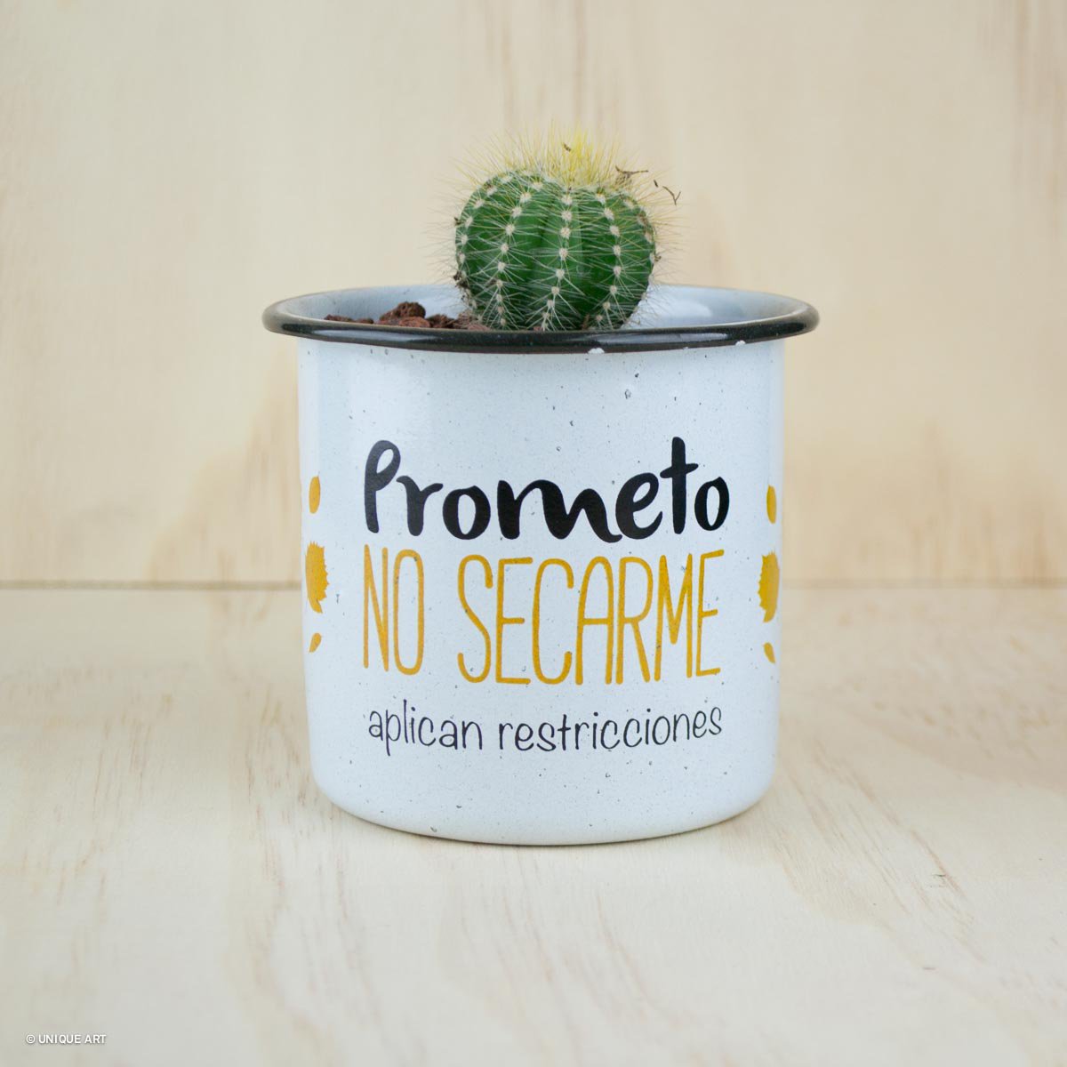UniqueArt_mx's tweet photo. Maceta de peltre con cactus, por si no eres muy cuidadoso con las plantas y quieres algo verde en tu espacio, son una buena opción ;)
Hay diferentes modelos y el cactus viene al azar.
#macetas #regalos #naturaleza #cactus #pelte https://t.co/zUn7bwG8Iy