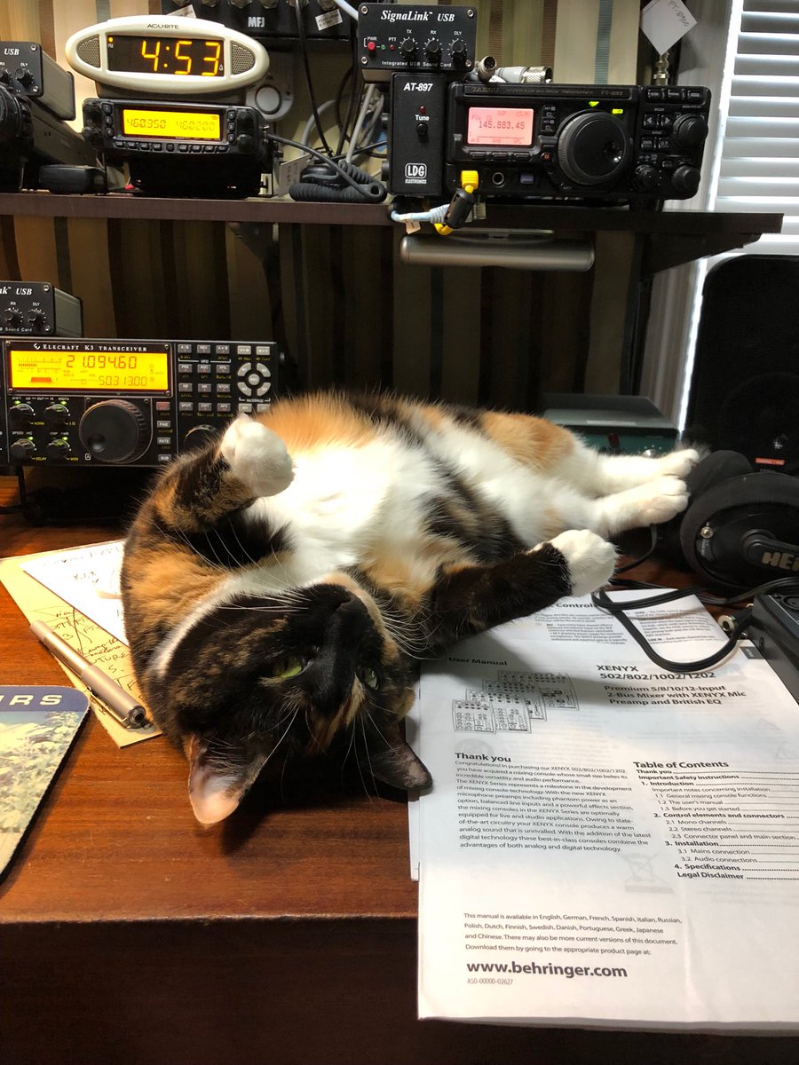 #hamradio What do you do about about a cat who uses your Heil headphones for a footrest?