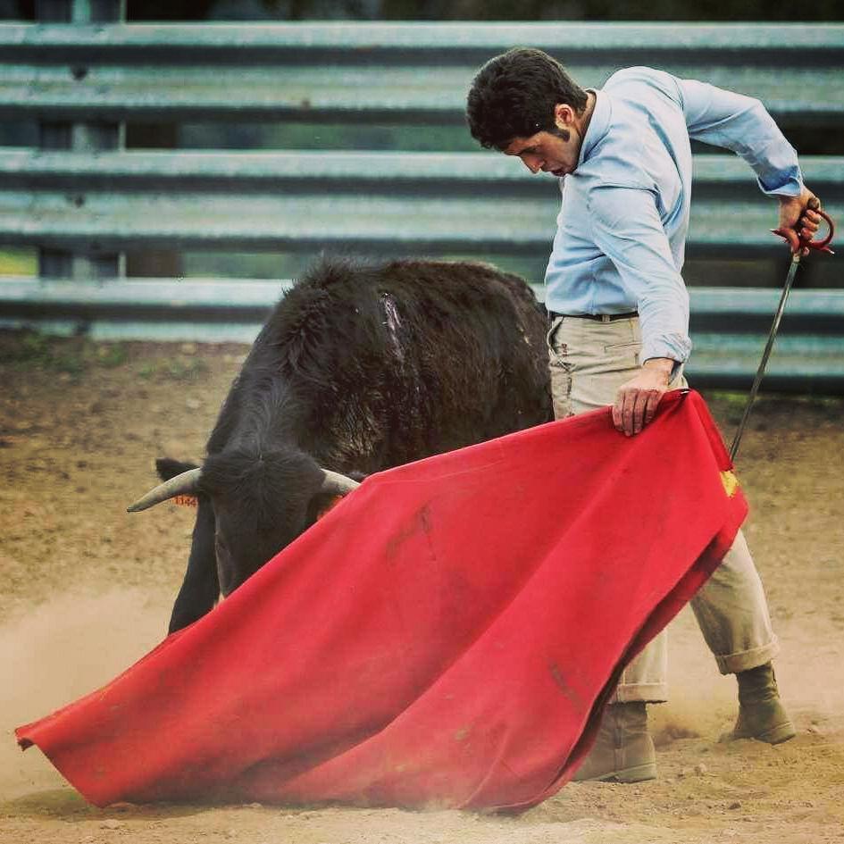 fincatriana's tweet photo. Siguiendo nuestro camino, con el run run del campo, donde se forjan los buenos toreros...Juan M. Jiménez https://t.co/6AMXhNW6gm