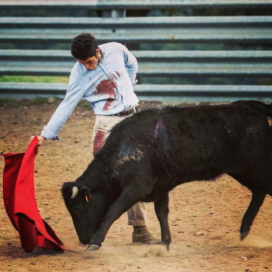 fincatriana's tweet photo. Siguiendo nuestro camino, con el run run del campo, donde se forjan los buenos toreros...Juan M. Jiménez https://t.co/6AMXhNW6gm