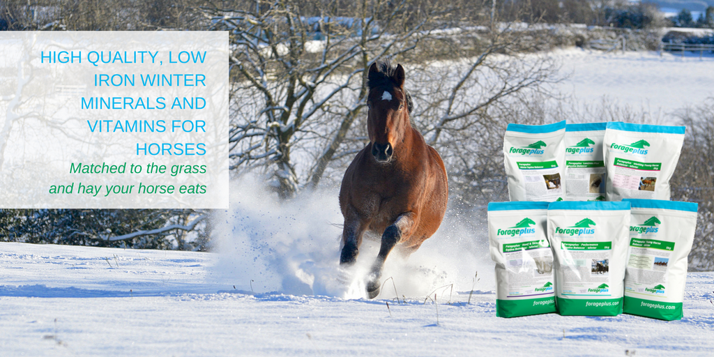 forageplus's tweet photo. Feed our range of ultra low iron, Forage Focused™ winter horse feed balancers for optimum winter health, weight &amp; performance - our formulas match to the grass or hay your horse eats https://t.co/f13skIcXir https://t.co/cdpaKftdqG