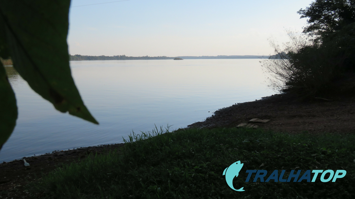 TralhaTop's tweet photo. https://t.co/twaPzkP7Xj
#tralhatop #rivernightmare #riouruguai #portoxavier #brasil #fishing #pesca #pescaria #pesqueesolte #pesqueepreserve #iscaartificial #goprofishing #instafishing #outdoors #nature #natureza #fishinglife #baitcasting #reidorio #salminusbrasiliensis #cotazero https://t.co/vNiqJcSwiK