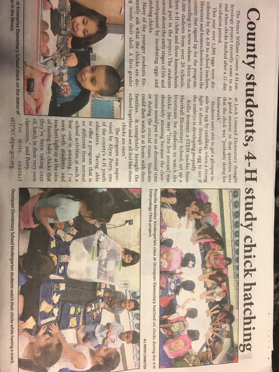 Mrs. Menacho tweet media