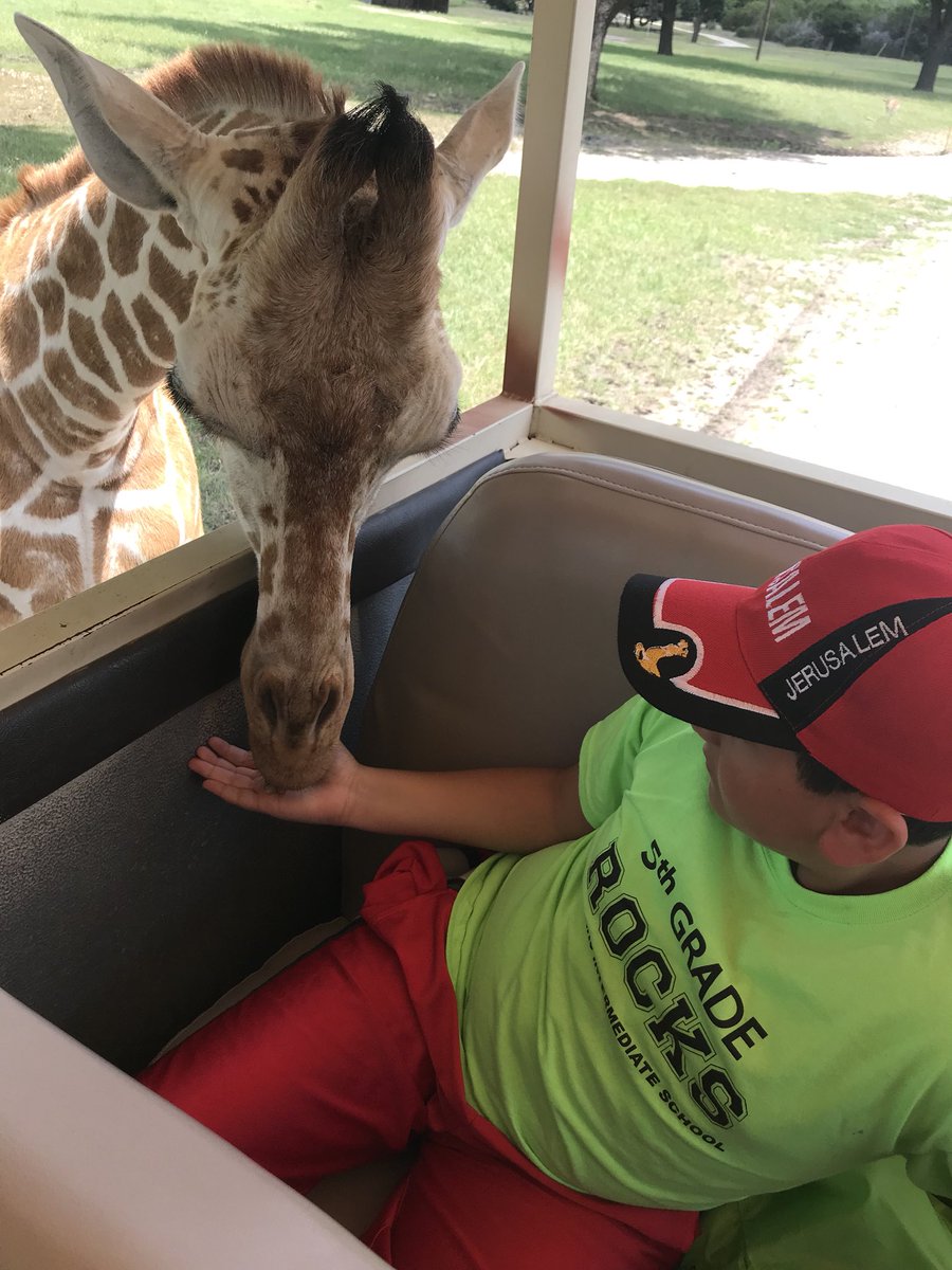 What a great time we had <a href="/FossilRim/">Fossil Rim Wildlife Center</a> today with all our 5th graders!! Days like these are the best!