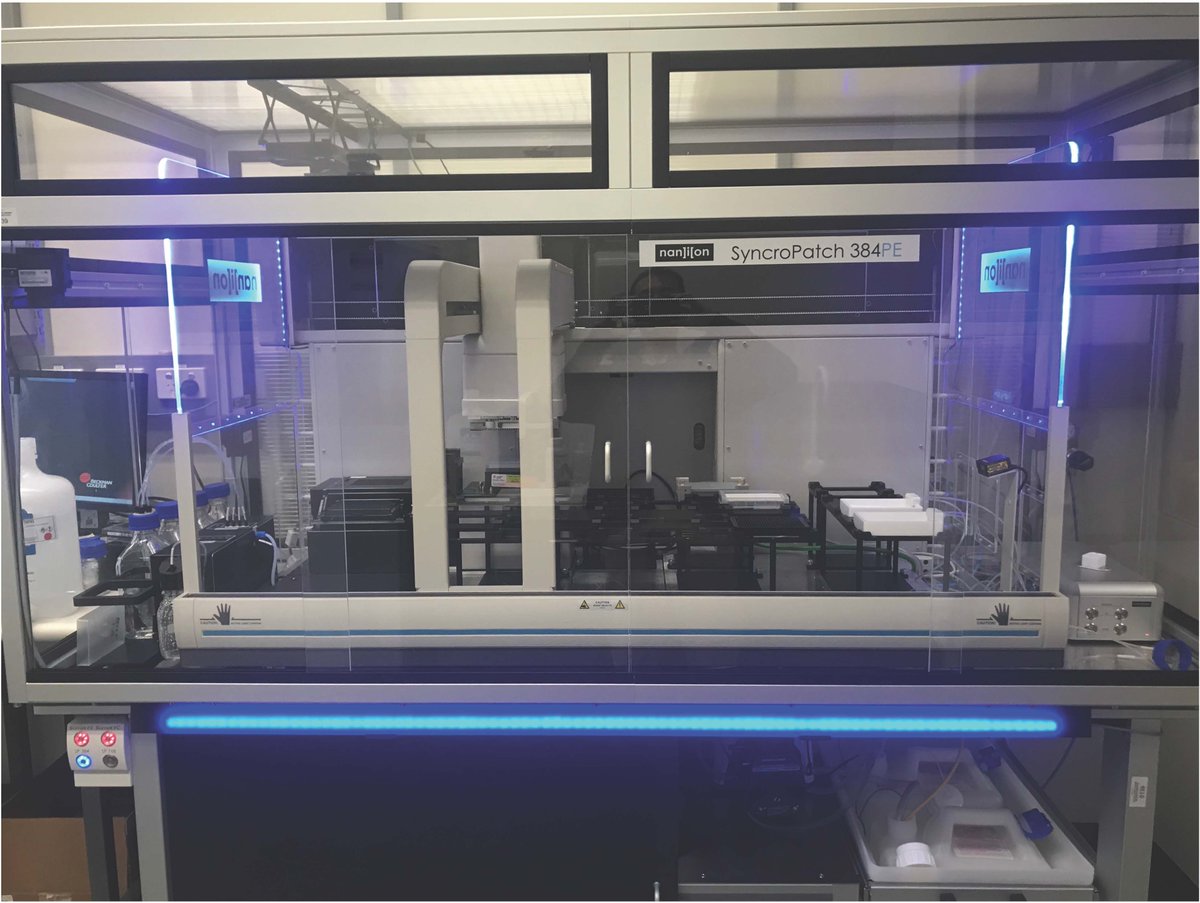 VictorChangInst's tweet photo. High throughput assays using #SyncroPatch @NanionTech is revolutionising #ionchannels research in our quest to understand #heartdisease https://t.co/cA03t9Qwtd