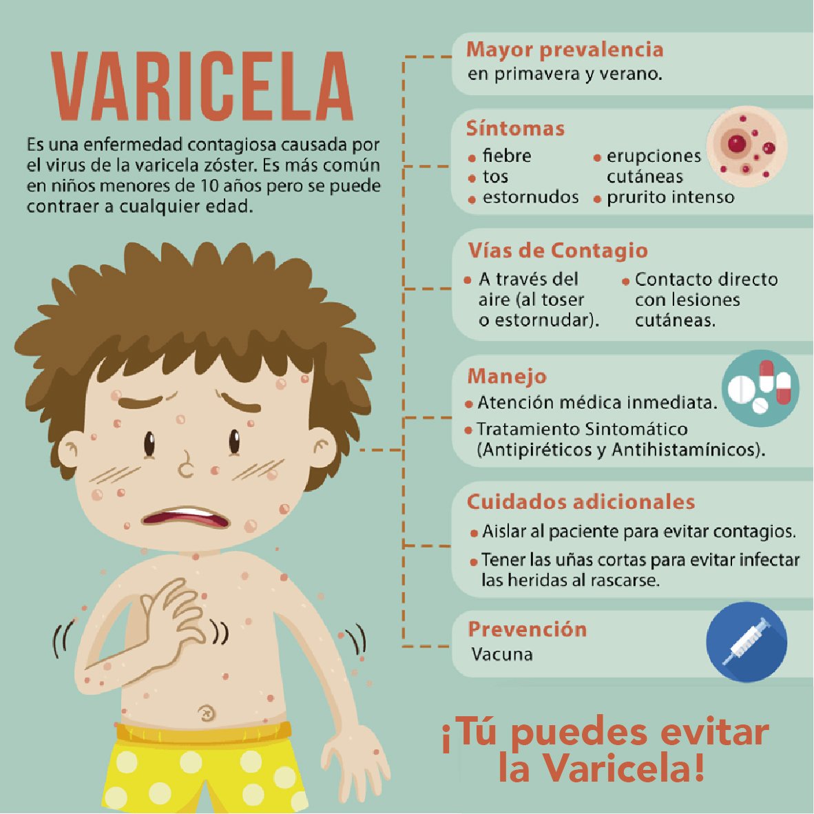 Servicios de Salud on Twitter "La varicela es una infección viral