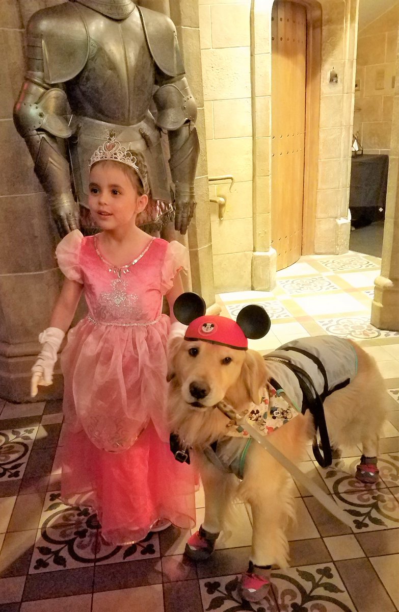 In the @FoodAllergy world, protection is taken very seriously. Dual-trained as an AllergenAlert #ServiceDog, I take my human’s safety seriously, too. ‘Knighthood’...it’s NOT just an honorary title. #foodallergies @DisneyParks @WDWToday #MagicKingdom #cinderella #disneydog #Travel