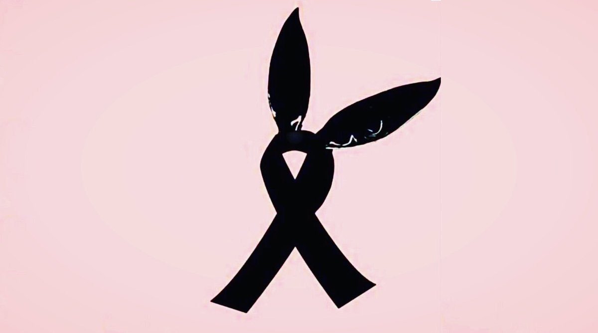 Ariana Grande Update tweet media