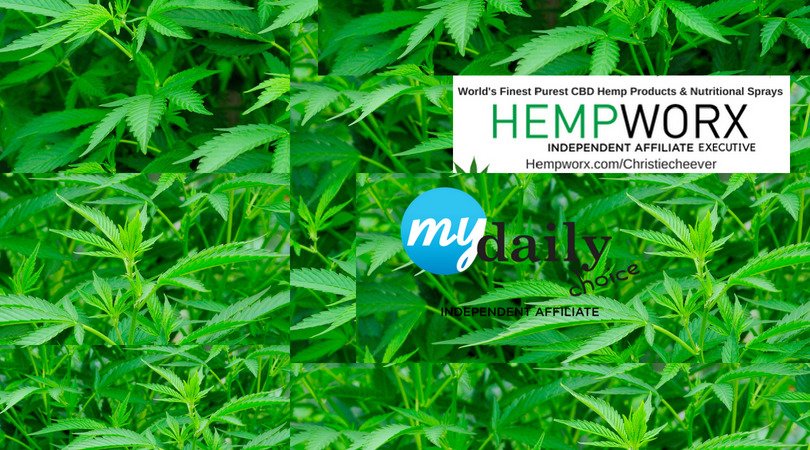 cheever79's tweet image. 