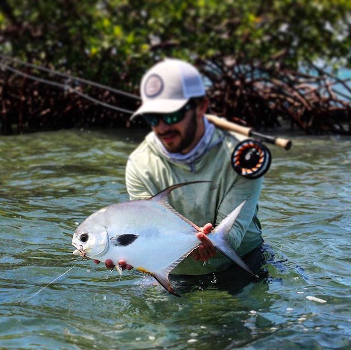 CopalTreeLodge's tweet image. Experience the best fly fishing Belize has to offer at our beautiful jungle lodge 🎣
copaltreelodge.com/experience/fly…
📸: @sbergervt 
#travelBelize #vacationdestination #flyfishing #Caribbean #adventure #permit