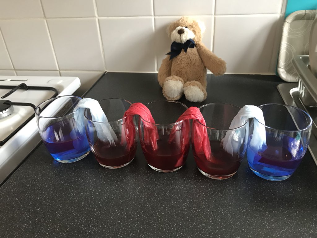 Sanyar was making walking water experiment👨‍🔬💧#Smithdownextra <a href="/misshath2/">Miss Hathaway Y2</a> <a href="/SmithdownPrimR/">SmithdownRecep</a>