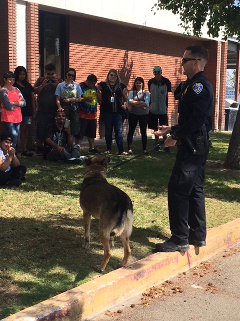 bakersfieldpd's tweet photo. Thank you for coming to visit us NAPD! We hope you enjoyed your tour and K9 demo! https://t.co/WqItqlhNMR