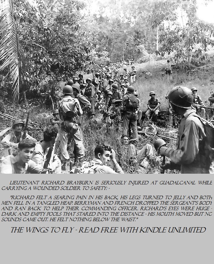 persimew's tweet photo. #IAN1 #IARTG #Fallbackintime to Female pilots in #WW2; political shenanigans in Washington; heroism & loss at Guadalcanal, landgirls and the #London #Blitz https://t.co/cWfe3lIRpG #free with #kindleunlimited #KU https://t.co/B1tbCcbJ9H