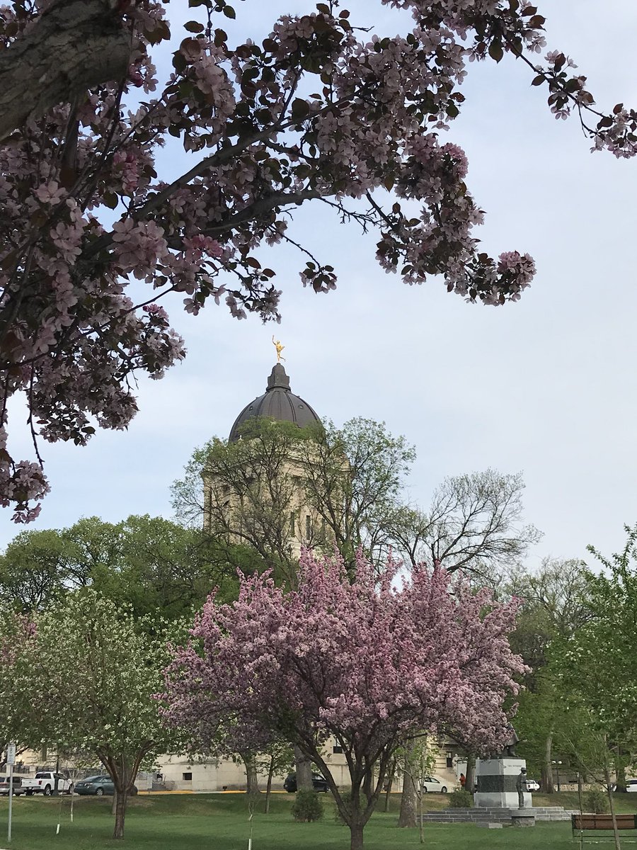 CBCSamSamson's tweet image. Man, I love this city. #wpgmb