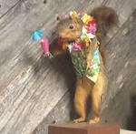 CheriseLakeside's tweet image. A luau? #CSIKraken #CSCKraken