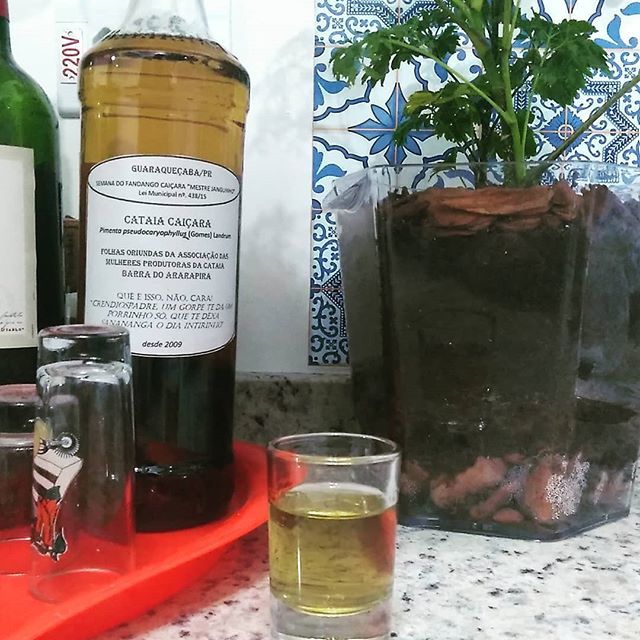 pdbguilherme's tweet photo. Cataia. #alcool #cataia #endingday https://t.co/9aZGhbXdql https://t.co/20ahxtpaxC